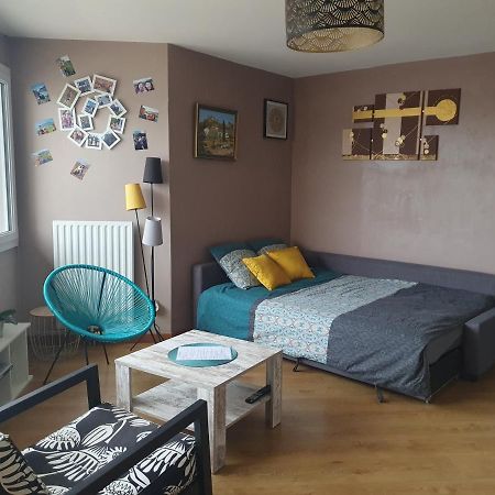 Апартаменты Loft Tres Calme Parking Et Balcon Дижон Экстерьер фото